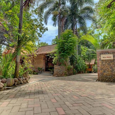 Bata Merah Homestay Banyuwangi  Exteriér fotografie
