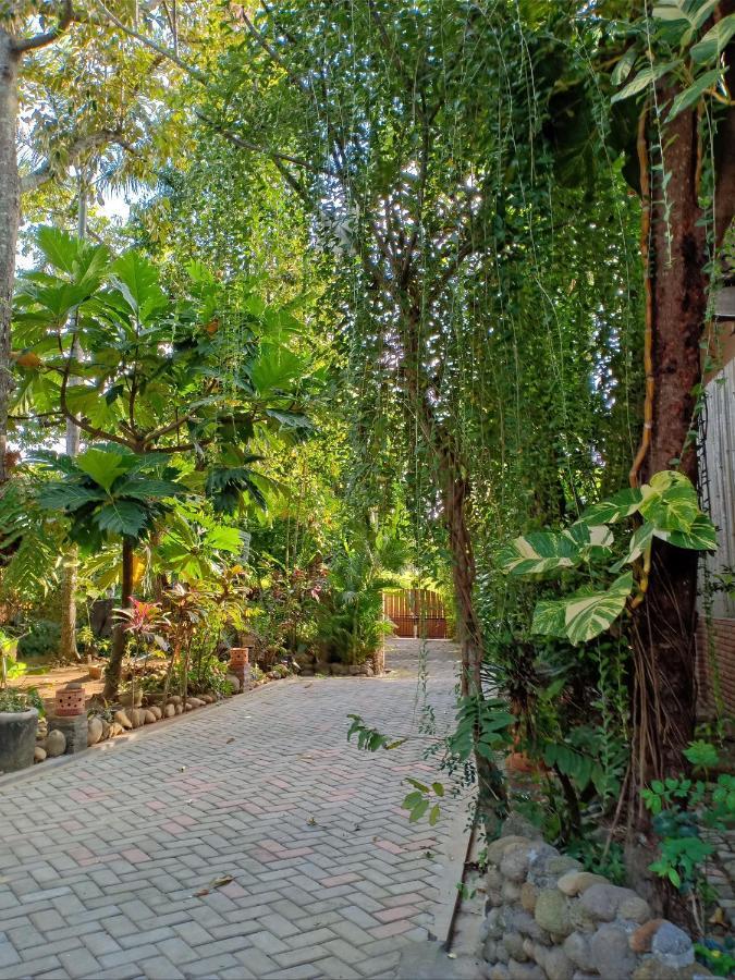 Bata Merah Homestay Banyuwangi  Exteriér fotografie