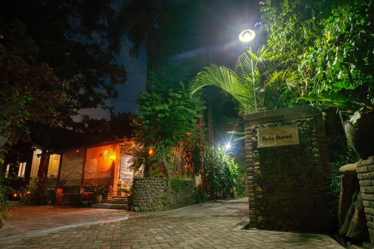 Bata Merah Homestay Banyuwangi  Exteriér fotografie