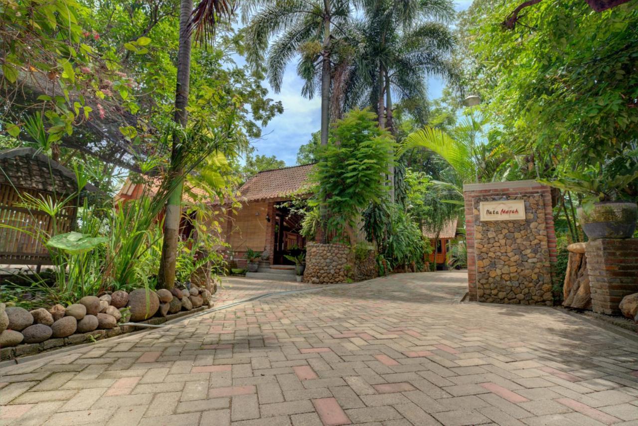 Bata Merah Homestay Banyuwangi  Exteriér fotografie