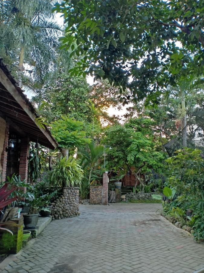 Bata Merah Homestay Banyuwangi  Exteriér fotografie