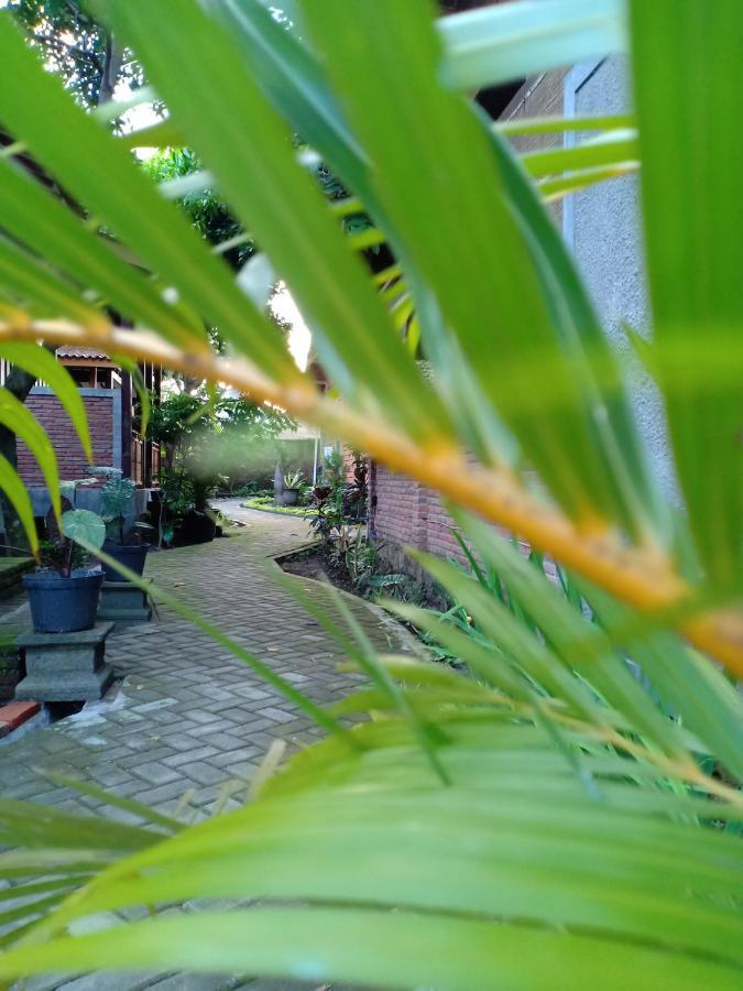 Bata Merah Homestay Banyuwangi  Exteriér fotografie