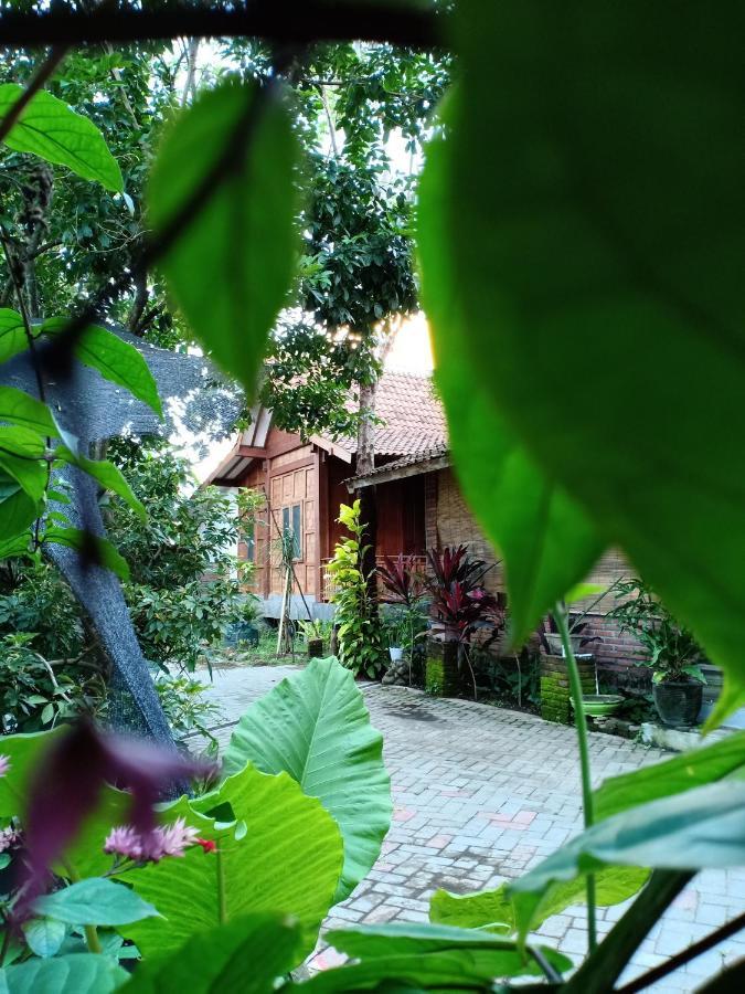Bata Merah Homestay Banyuwangi  Exteriér fotografie