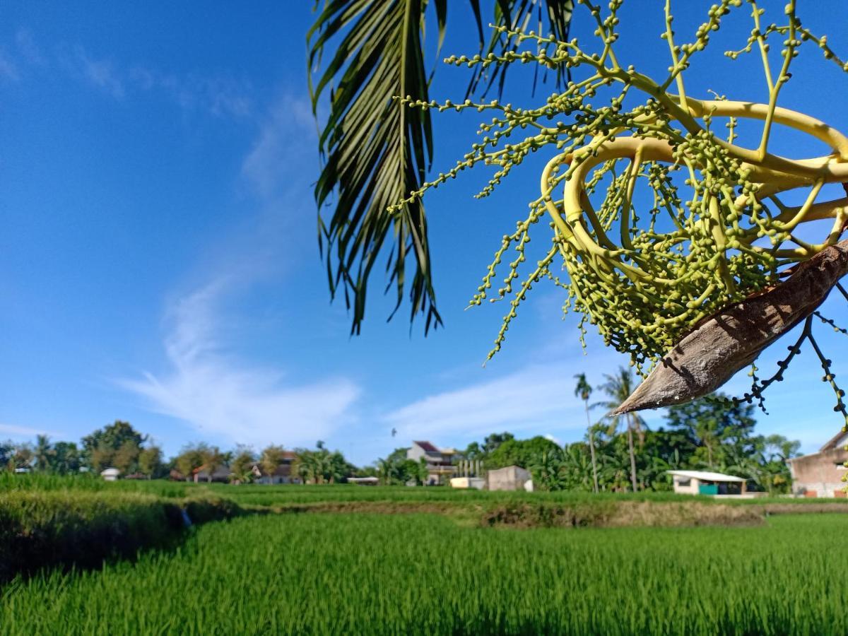 Bata Merah Homestay Banyuwangi  Exteriér fotografie