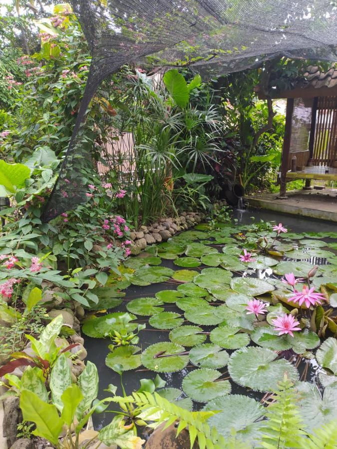 Bata Merah Homestay Banyuwangi  Exteriér fotografie
