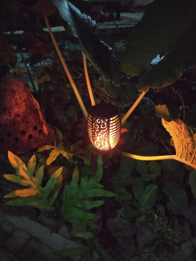 Bata Merah Homestay Banyuwangi  Exteriér fotografie