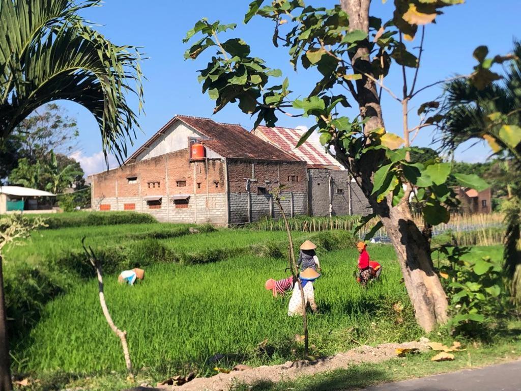 Bata Merah Homestay Banyuwangi  Exteriér fotografie